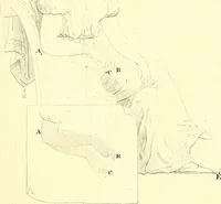Picture 139 of 226 from Traité complet de la peinture (1829), leaf 148