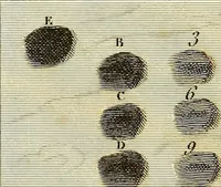 An illustration from Traité complet de la peinture (1829)