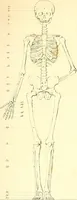 An illustration from Traité complet de la peinture (1829)