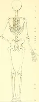 An illustration from Traité complet de la peinture (1829)