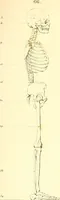 An illustration from Traité complet de la peinture (1829)