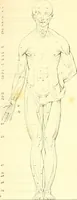 An illustration from Traité complet de la peinture (1829)