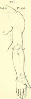An illustration from Traité complet de la peinture (1829)