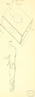 Picture 70 of 226 from Traité complet de la peinture (1829), leaf 68