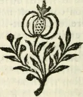 Picture 5 of 7 from Traité de la verité de la religion chrêtienne .. (1688), leaf 159