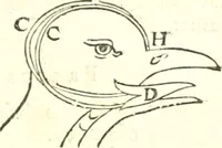 An illustration from Traité de mecanique, ou l'on explique tout ce qui est necessaire dans la pratique des arts, & les proprietés des corps pesans lesquelles ont un plus grand usage dans la physique (1729)