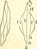An illustration from Traité de mecanique, ou l'on explique tout ce qui est necessaire dans la pratique des arts, & les proprietés des corps pesans lesquelles ont un plus grand usage dans la physique (1729)