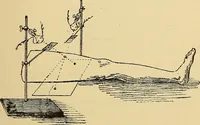 An illustration from Traité de radiographie médicale et scientifique : cours libre professé a l'écolepratique de la Faculté de Médecine de Paris, deuxième semestre de 1896-1897 (1897)