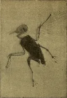 An illustration from Traité de radiographie médicale et scientifique : cours libre professé a l'écolepratique de la Faculté de Médecine de Paris, deuxième semestre de 1896-1897 (1897)
