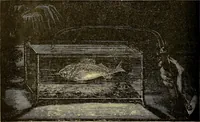 An illustration from Traité de radiographie médicale et scientifique : cours libre professé a l'écolepratique de la Faculté de Médecine de Paris, deuxième semestre de 1896-1897 (1897)