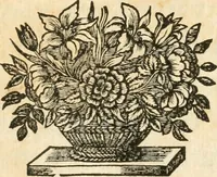 An illustration from Traité des lignes du premier genre, expliquées par une methode nouvelle & facile (1687)