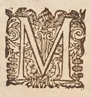 An illustration from Traité des quantitez incomensurables [sic] : ou sont decidees plusieurs belles questions des nombres rationaus & irrationaus. Les erreurs de Stevin refutées. Et le dizieme livre d'Euclide illustré de nouueles [sic] demonstrations plus faciles & plus succinctes que les ordinaires, & reduit à 62. propositions. Avec vn Discours de la maniere d'expliquer les sciences en françois .. (1640)