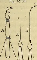 An illustration from Traité d'électricité et de magnétisme : et des applications de ces sciences a la chimie, a la physiologie et aux arts (1855)