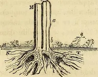 An illustration from Traité d'électricité et de magnétisme : et des applications de ces sciences a la chimie, a la physiologie et aux arts (1855)