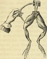 An illustration from Traité d'électricité et de magnétisme : et des applications de ces sciences a la chimie, a la physiologie et aux arts (1855)
