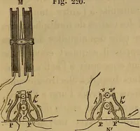 An illustration from Traité d'électricité et de magnétisme : et des applications de ces sciences a la chimie, a la physiologie et aux arts (1855)