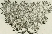 An illustration from Traité d'architecture, ou, Proportions des trois ordres grecs : sur un module de douze parties (1768)