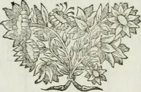 An illustration from Traité d'architecture, ou, Proportions des trois ordres grecs : sur un module de douze parties (1768)