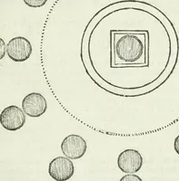 An illustration from Traité d'architecture, ou, Proportions des trois ordres grecs : sur un module de douze parties (1768)