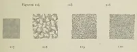An illustration from Traité de la gravure sur rouleaux (1906)