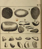 An illustration from Traite' de la lithotomie, ou, De l'extraction de la pierre, hors de la vessie : enrichy de figures necessaires pour representer la maniére de sonder, les instrumens propres, le malade dans l'operation : la ponction du perinée, & les differentes methodes de tirer la pierre : avec les appareils, les remedes preservatifs du calcul, & les medicamens pour les taillez (1686)