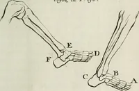 An illustration from Traité de la peinture (1716)