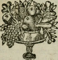 Picture 1 of 11 from Traite de l'esprit de l'homme et de ses fonctions (1649), leaf 6