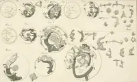 An illustration from Traité de l'horlogerie, méchanique et pratique : approuvé par l'Academie royale des sciences (1741)