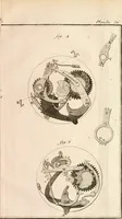 An illustration from Traité de l'horlogerie, méchanique et pratique : approuvé par l'Academie royale des sciences (1741)