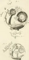 An illustration from Traité de l'horlogerie, méchanique et pratique : approuvé par l'Academie royale des sciences (1741)