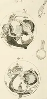 An illustration from Traité de l'horlogerie, méchanique et pratique : approuvé par l'Academie royale des sciences (1741)