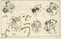 An illustration from Traité de l'horlogerie, méchanique et pratique : approuvé par l'Academie royale des sciences (1741)