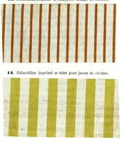 An illustration from Traité des matières colorantes : comprenant leurs applications à la teinture et à l'impression et des notices sur les fibres textiles, les épaississants et les mordants ... (1867)
