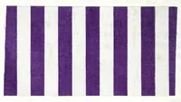 An illustration from Traité des matières colorantes : comprenant leurs applications à la teinture et à l'impression et des notices sur les fibres textiles, les épaississants et les mordants ... (1867)