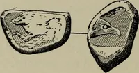 An illustration from Traite des monnaies grecques et romaines; (1901)