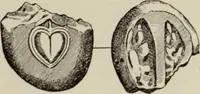 Picture 112 of 124 from Traite des monnaies grecques et romaines; (1901), leaf 684