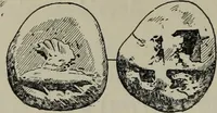 An illustration from Traite des monnaies grecques et romaines; (1901)