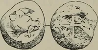 An illustration from Traite des monnaies grecques et romaines; (1901)