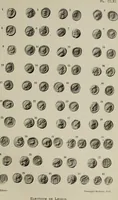 An illustration from Traite des monnaies grecques et romaines; (1901)