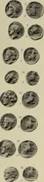An illustration from Traite des monnaies grecques et romaines; (1901)