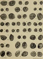 An illustration from Traite des monnaies grecques et romaines; (1901)
