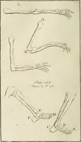 Picture 17 of 60 from Traité de la peinture (1796), leaf 221