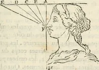 Picture 41 of 60 from Traité de la peinture (1796), leaf 346