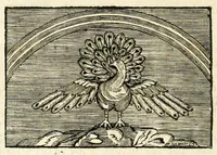 An illustration from Traité sur la peinture pour en apprendre la theorie, & se perfectionner dans la pratique (1699)