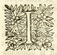 Picture 18 of 21 from Traité sur la peinture pour en apprendre la theorie, & se perfectionner dans la pratique (1699), leaf 375