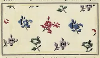 An illustration from Traité théorique et pratique de l'impression des tissus (1846)