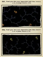 Picture 9 of 17 from Traité théorique et pratique de l'impression des tissus (1846), leaf 346