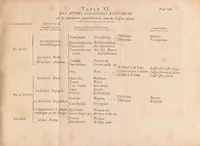 An illustration from Traité des caracteres extérieurs des fossiles (1795)