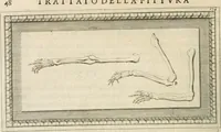 An illustration from Traitté de la peintvre (1651)