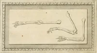 An illustration from Traitté de la peintvre (1651)